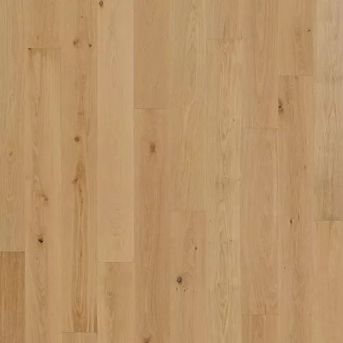 Belleluxe Collection Swatch